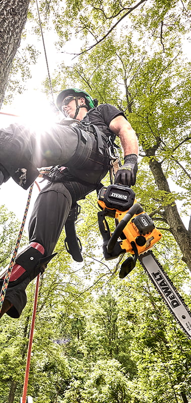Man hanging from ropes in a tree with a chainsaw