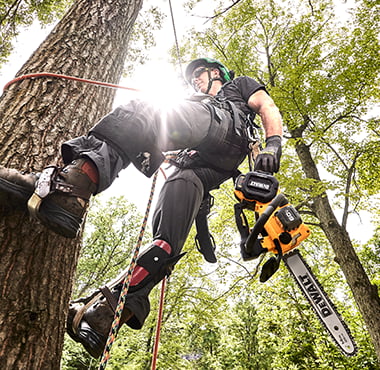 Man hanging from ropes in a tree with a chainsaw