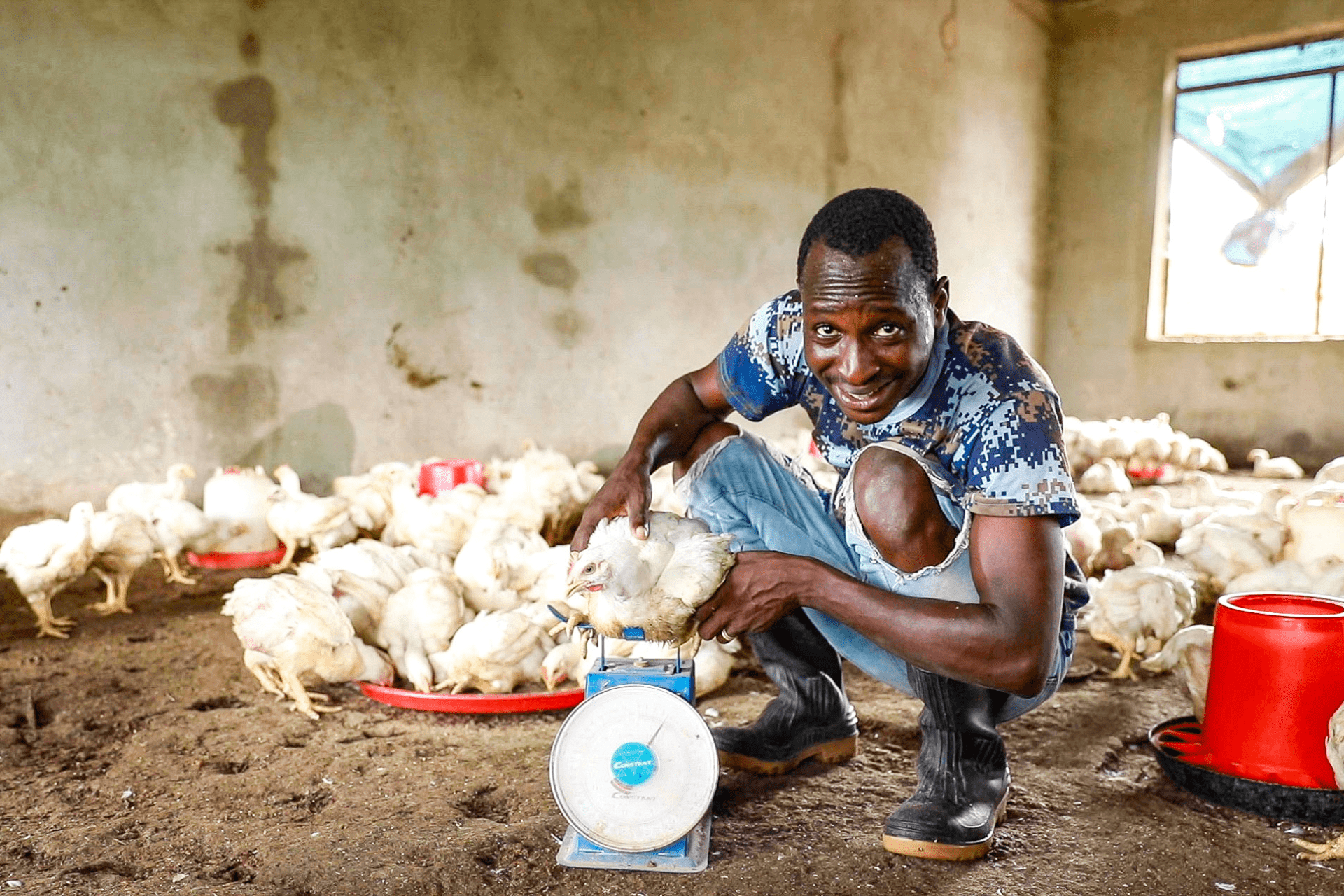 Building Food Security and Farming Capacity: The Fish and Poultry Co-operatives of Bétakily, Mali - Featured Image