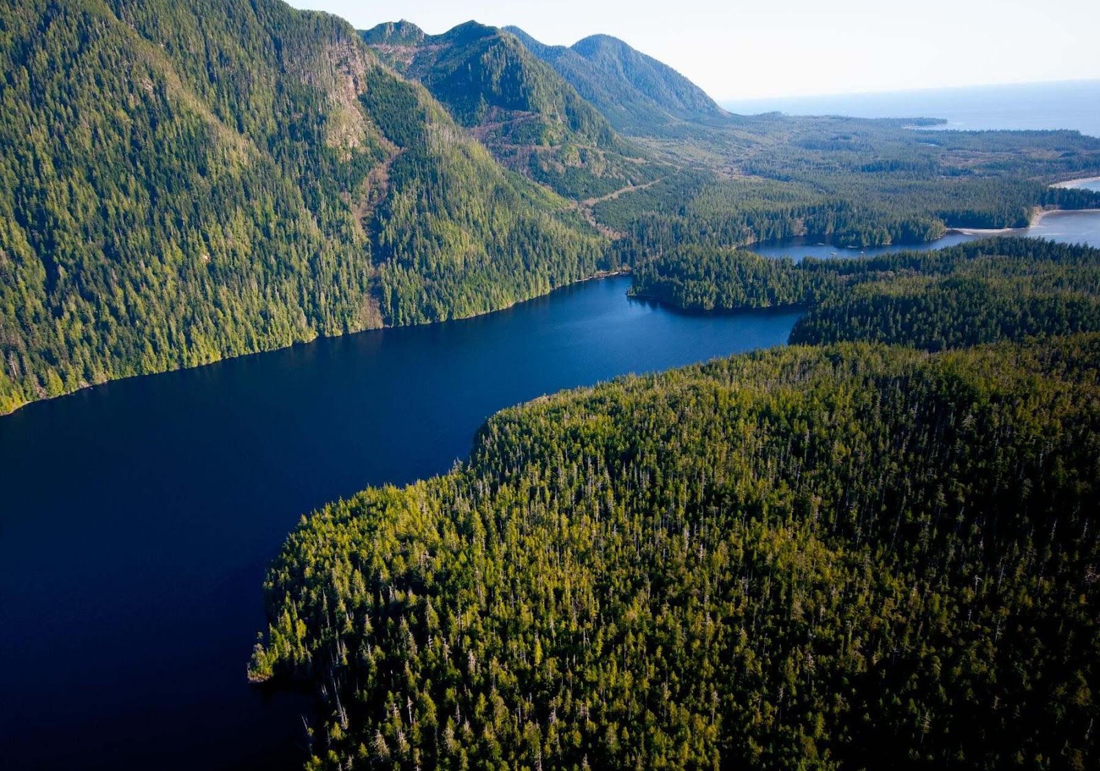 A body of water surrounded by treesAI-generated content may be incorrect.