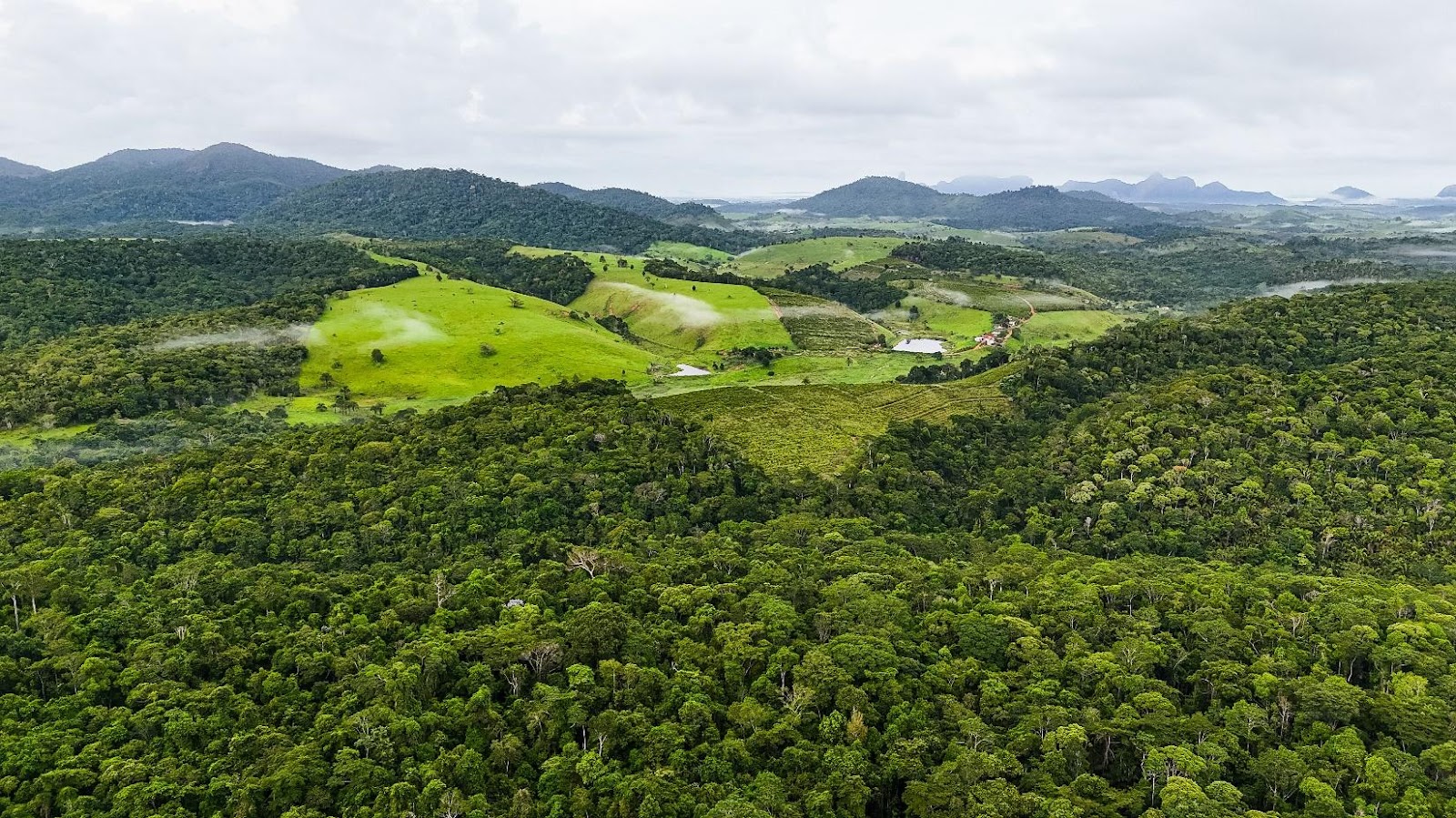 A green hills with treesAI-generated content may be incorrect.