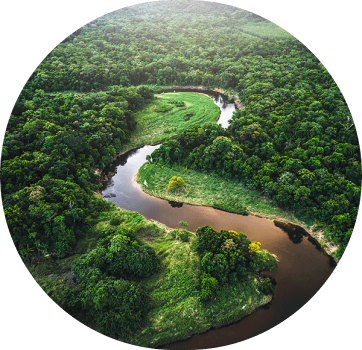Link to Environmnetal ESG
