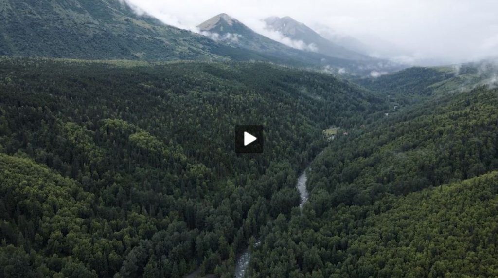 Youtube video screenshot