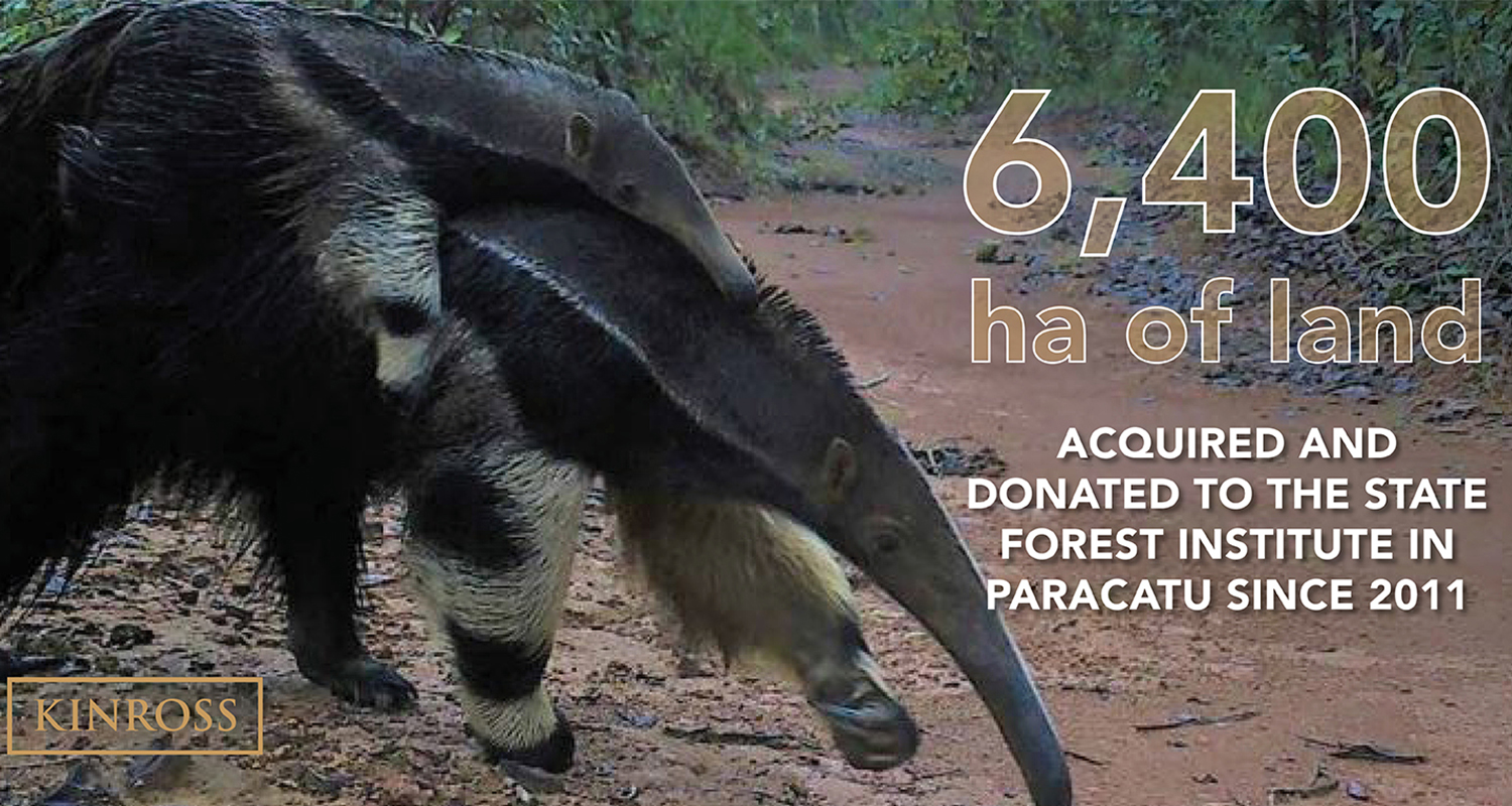 Sustainability Highlight: See how Kinross is protecting biodiversity in Paracatu, Brazil