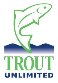 Trout