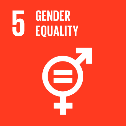 Gender Equality image