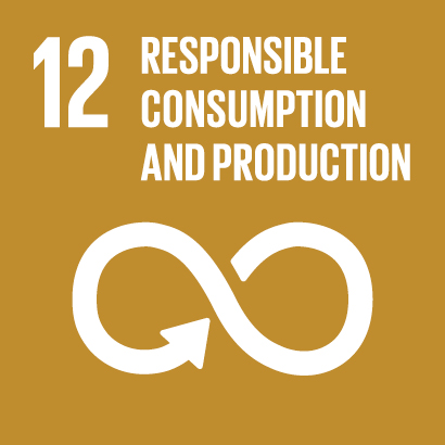 Responsible Consumption image