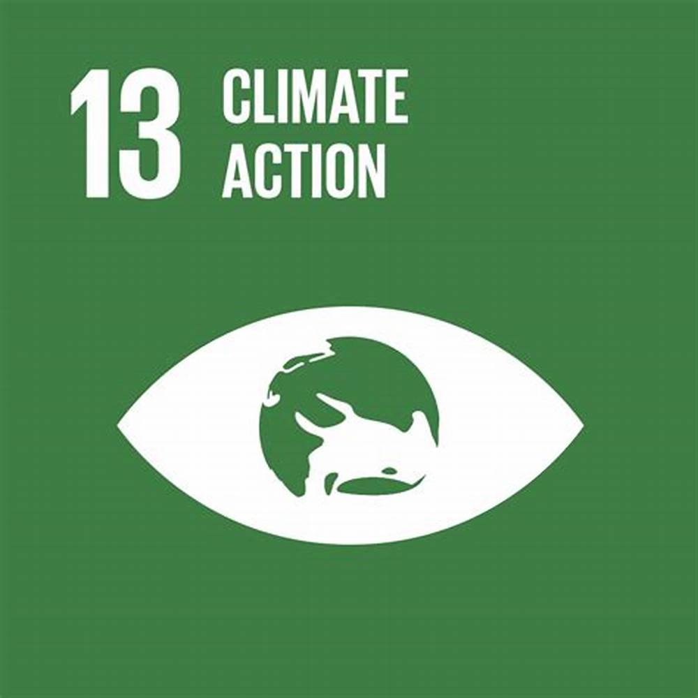 Climate Action image